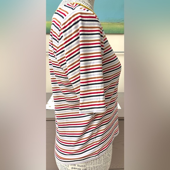 BB Dakota Ribbed Multicolored Striped Tee T Shirt Large - Picture 3 of 8